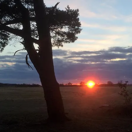 게스트하우스 Ruegen